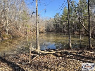 0 Ditney Ridge Rd, Bumpus Mills, TN 37028