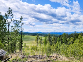 3669 W Jump Off Joe Rd, Valley, WA 99181