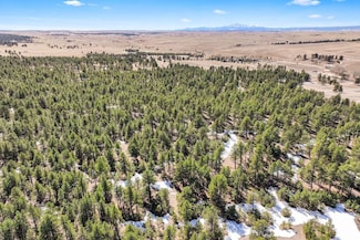 4585 Homestead Cir, Elizabeth, CO 80107