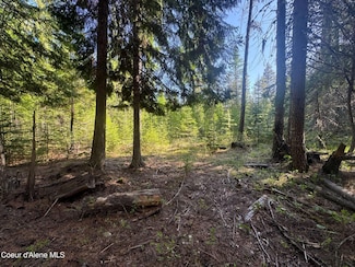 NNA Backroads Way Lot 3, Priest River, ID 83856