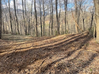 Lot 4 Copperhead Cove Rd, Sylva, NC 28779