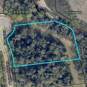 322 Canopy Hall Dr, St. Augustine, FL 32095