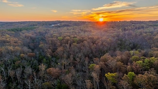 5785 Evergreen Loop, Leslie, MO 63056