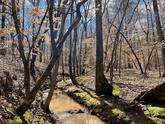 0 Hulmes Chapel Rd Unit 19785827, Elberton, GA 30635