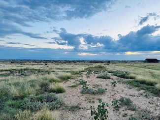 1746 E Mint Ct, Pueblo West, CO 81007