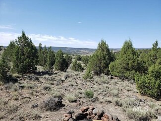 Tract 54 Triangle Ranch, Murphy, ID 83650