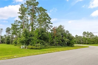 13615 Gopher Pond Ct, Hudson, FL 34669