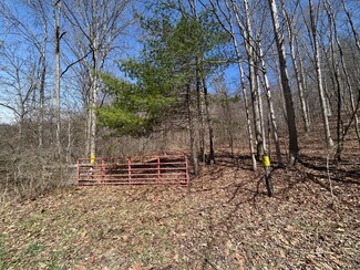 0 Snake Run Rd Unit 25-325, Dawson, WV 24910