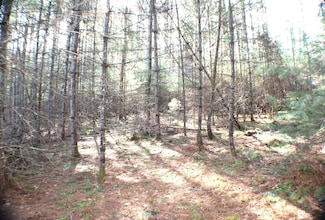 Lot 10 Beaver Lick Mtn Retreat, Marlinton, WV 24954