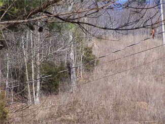 0 Pope Circle Rd, Waynesboro, TN 38485