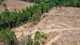 County Road 616, Ranburne, AL 36273