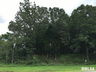 Lot 287 Parrish Ridge Ln, Goreville, IL 62939