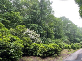 TBD Bavarian Way, Fancy Gap, VA 24328