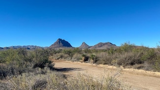1300 Shipman Rd, Terlingua, TX 79852