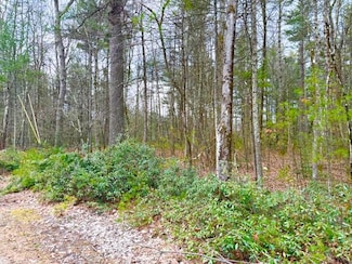 LOT 34 Pine Kill Roa Pine Kill Rd, Mamakating, NY 12790