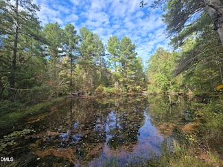 0 Bass Mountain Rd Unit 10128813, Snow Camp, NC 27349