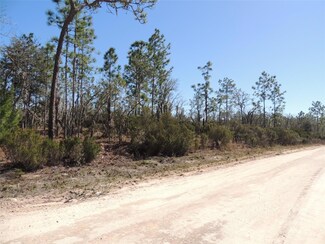 0 NE 150th Ave Unit MFROM672276, Williston, FL 32696