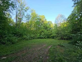 Tract 3 - TBD John Orr Sand Plant Rd, Independence, WV 26374