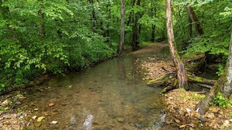0 Furnace Hollow Rd, Dickson, TN 37055