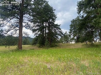 8036 Settlers Dr, Morrison, CO 80465