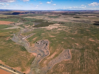 Tbdwp County Road M, Dove Creek, CO 81324