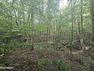 Lot 8 Pine Grove Church Rd, Culloden, GA 31016
