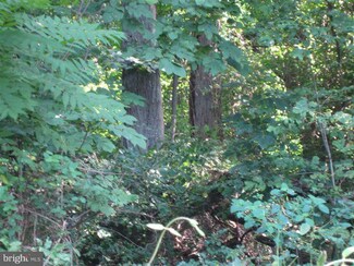 0 Summer Springs Ln Unit 1004099120, Boyce, VA 22620