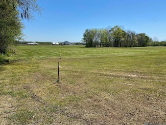 1096 Wilkinson Ln, Port Allen, LA 70767