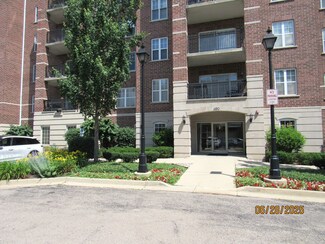 390 W Mahogany Ct Unit 610, Palatine, IL 60067