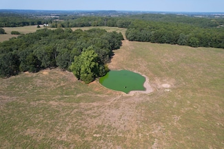 000 N Farm Road 215 Unit Parcel 2, Strafford, MO 65757