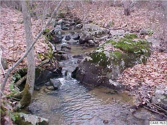 00 Ridge Rd, Dillwyn, VA 23936