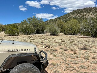 36633 W Thirsty Burros Rd, Seligman, AZ 86337