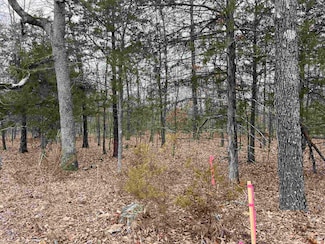 2108 & 2110 Hillcrest Dr, Horseshoe Bend, AR 72512