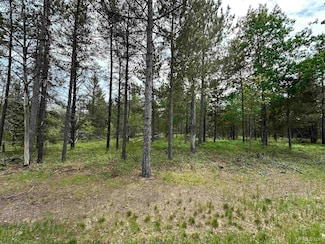TBD M35, Gwinn, MI 49841