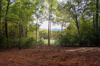 0 Cottonwood Ln, Blue Ridge, GA 30513