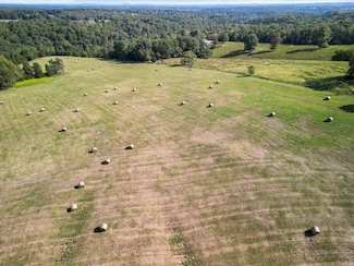 000 Missouri 181, Sycamore, MO 65760