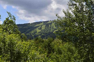 097 Silver Birch, Dover, VT 05356