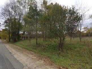 0 MacClain Parcel B St NE, Gowen, MI 49326
