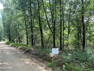 Lot 24 Remington Place, Bonifay, FL 32425
