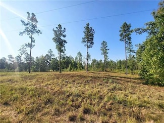 0 Hwy 117 Lot 13 Hwy, Provencal, LA 71468