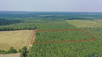 0003 County Road 1459 Unit Tract 3, Linden, TX 75563