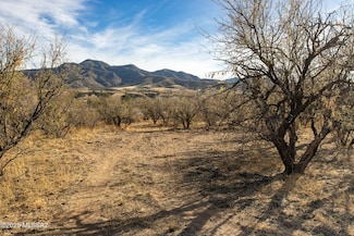 122 Pennsylvania Ave Unit C, Patagonia, AZ 85624