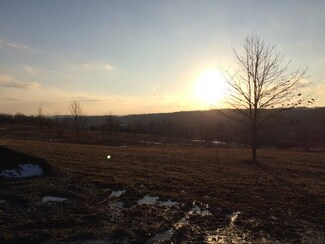 8667 Carney Hollow Rd, Wayland, NY 14572