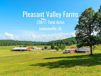 3221 Pleasant Valley Rd, Jacksonville, AL 36265