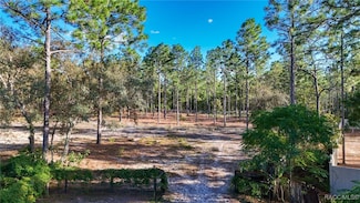 4256 N Amarillo Dr, Beverly Hills, FL 34465