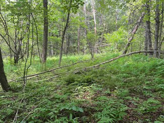 0 Berry Hill Rd Unit 5003472, Sheffield, VT 05866