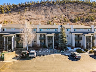 1100 Goeglein Gulch Rd Unit 255, Durango, CO 81301