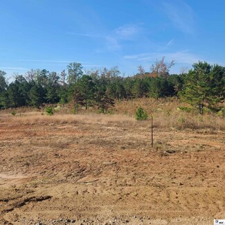 385 Chief Ln, Calhoun, LA 71225