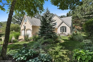 11246 Hiawatha Ln, Indian Head Park, IL 60525