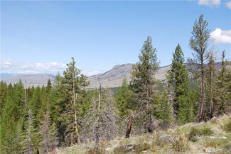 0 Stagecoach Trail Unit 1770662, Riverside, WA 98849
